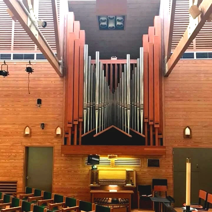 Organ1